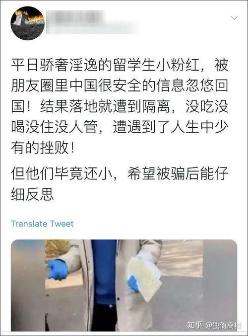 余江吃瓜事件始末视频,一场网络舆论的风暴与反思