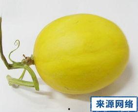 孕妇夏天吃瓜图片,清凉瓜果，孕妇的夏日美味选择