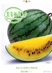 世界吃瓜网友,揭秘网络热点的幕后真相