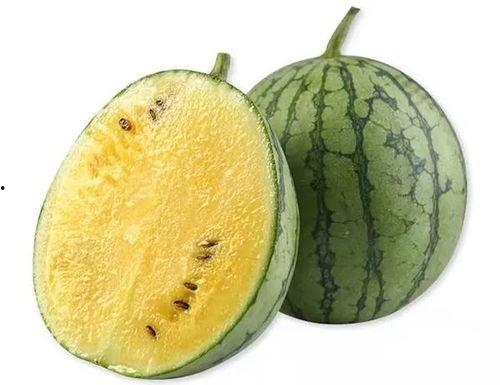 板仑吃瓜视频,揭秘网络热传视频背后的故事