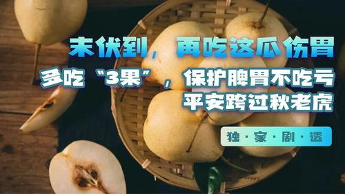 吃瓜网站危害,网络陷阱与隐私危机