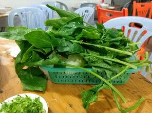 潮州金石吃瓜,探寻潮汕美食中的“吃瓜”文化