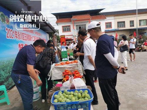 永川吃瓜群众新闻