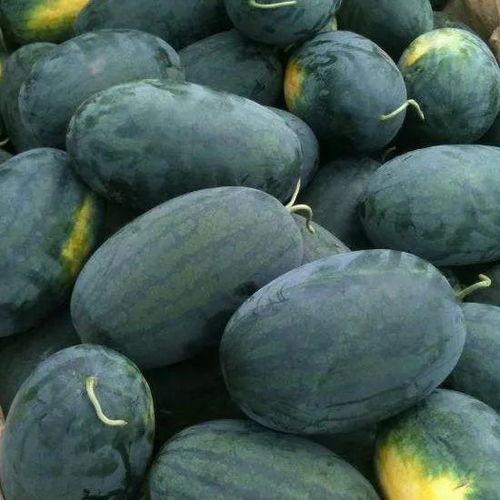 看瓜怎么吃啊,教你如何正确吃瓜