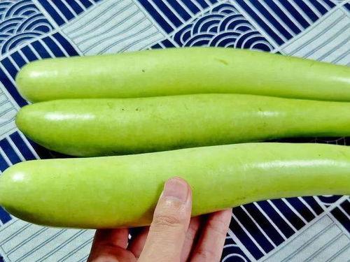 吃瓜视频指啥,网络热议背后的真相与影响