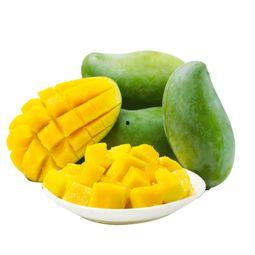 财政人员吃瓜,揭秘财政圈里的“瓜田”趣事