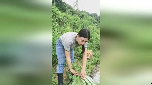 越南老表吃瓜,揭秘东南亚独特的饮食文化