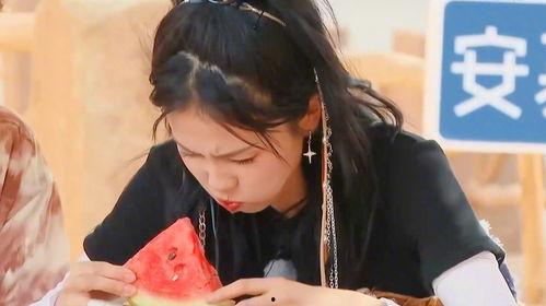 白鹿吃瓜笑死人,笑料横生，人生百态尽收眼底