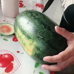 梦子吃瓜,揭秘娱乐圈背后的秘密与真相