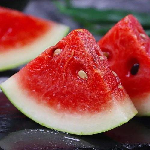 飞来找瓜吃,一场奇妙的空中寻宝之旅