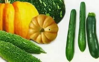 吃瓜吃吃,揭秘吃瓜群众的趣味生活