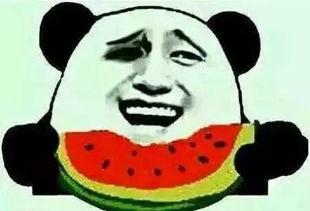 吃瓜的群众会挑瓜吗,如何挑选新鲜美味瓜果