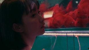 女孩吃瓜动图,女孩吃瓜动图萌态十足