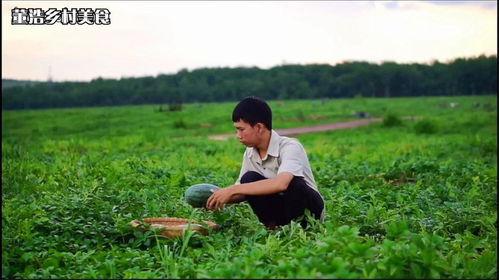 雨后吃瓜行吗,一场别具风味的夏日食趣之旅