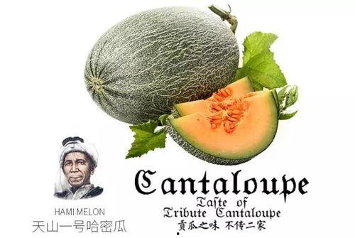 摸鱼吃饼吃瓜是啥意思