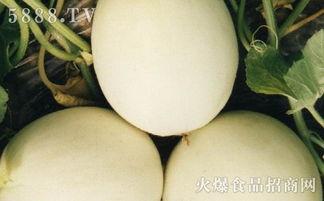 吃瓜上火吗?,吃瓜也能上火？揭秘日常饮食中的健康误区