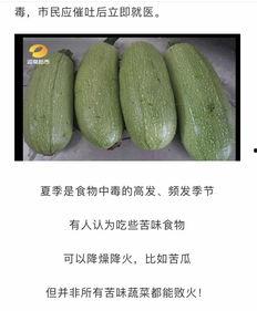 青皮瓜能不能晒瓜干吃呢,美味还是危险？揭秘晒瓜干食用之谜