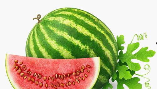 绿色吃瓜手账图片,手账记录的绿色吃瓜时光