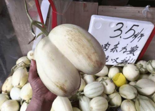 一瓜两吃图片,创意烹饪新体验