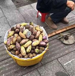 缅北实时吃瓜群,一场场惊心动魄的边境风云