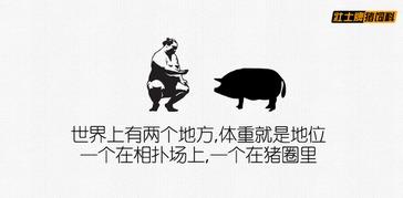 吃瓜吃醒的文案怎么写,揭秘娱乐圈背后的真相与启示