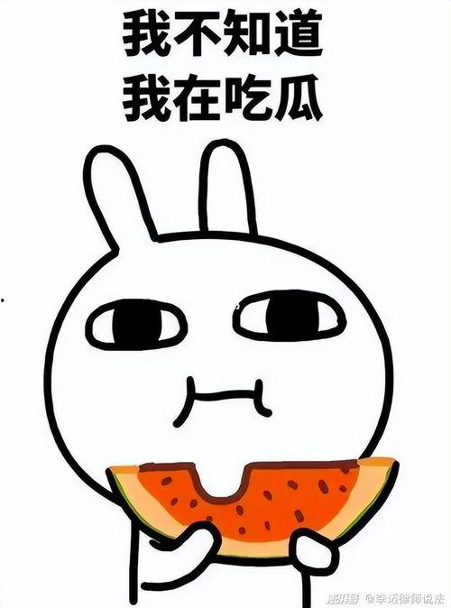 吃瓜Q群3888082,一场网络社交的狂欢盛宴