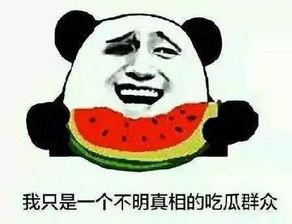 吃瓜群众类型发言,不同类型发言背后的心理解析