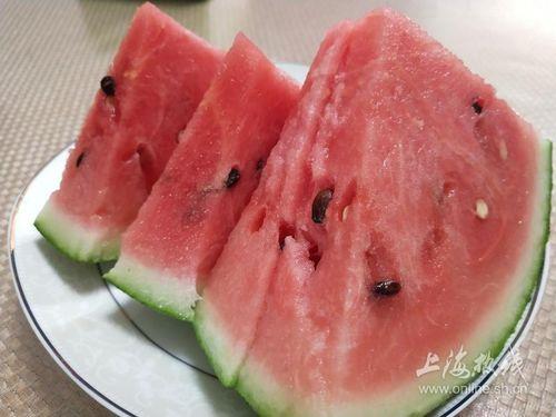 南汇吃瓜热门事件,揭秘网络热议背后的真相与争议